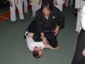 2008.04.11...13 - Hakko Ryu Jujitsu seminaras.