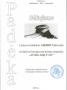 2009.03.10 - Мы участвуем в мероприятиях по превенции.